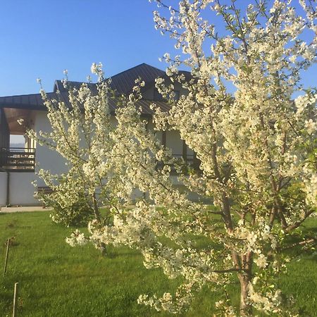 Hotel Tango margo Valea Lupului  Zewnętrze zdjęcie